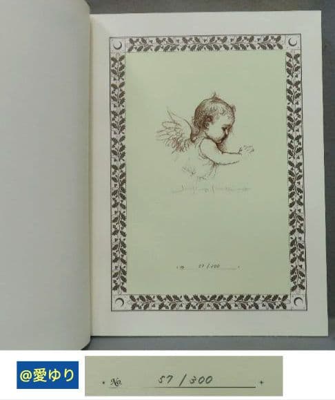 特大♢豪華限定♢羊革装版『きたのじゅんこ自選画集』天然宝石15石