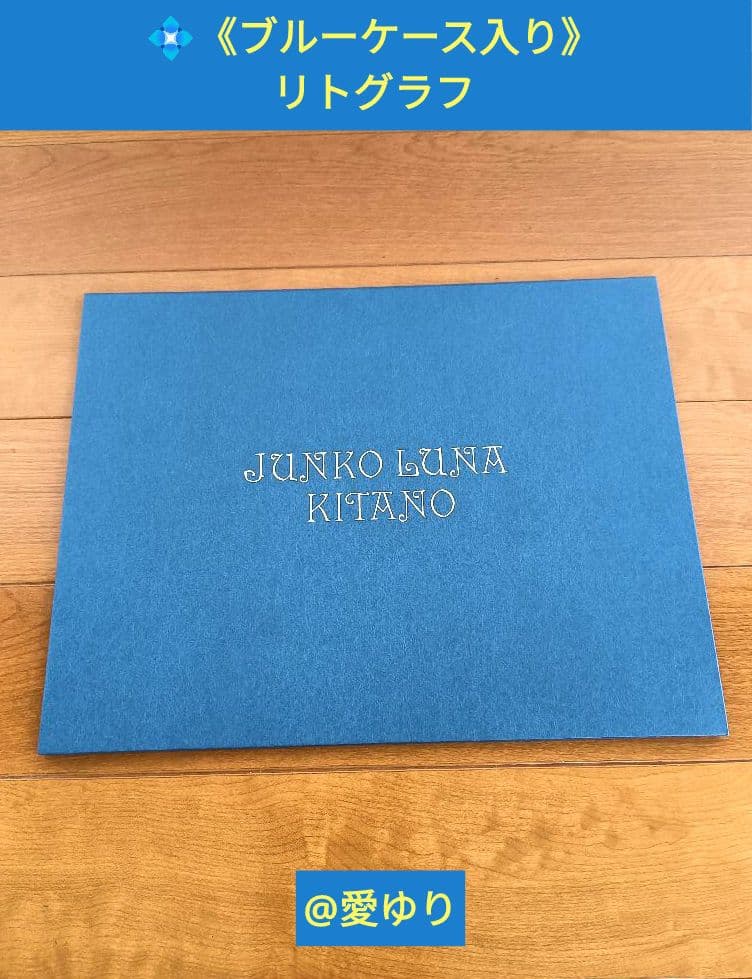 特大♢豪華限定♢羊革装版『きたのじゅんこ自選画集』天然宝石15石