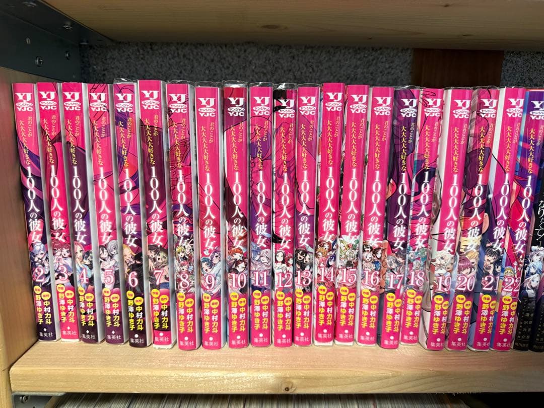 君のことが大大大大大好きな100人の彼女　1〜22巻　レンタル落ち　全巻 君のことが大大大大大好きな100人の彼女 14／野澤 ゆき子／中村 力斗