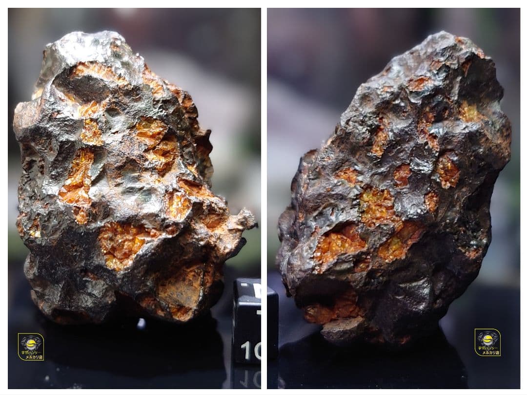 隕石 イミラック パラサイト 126.4g Imilac ⭐⭐⭐