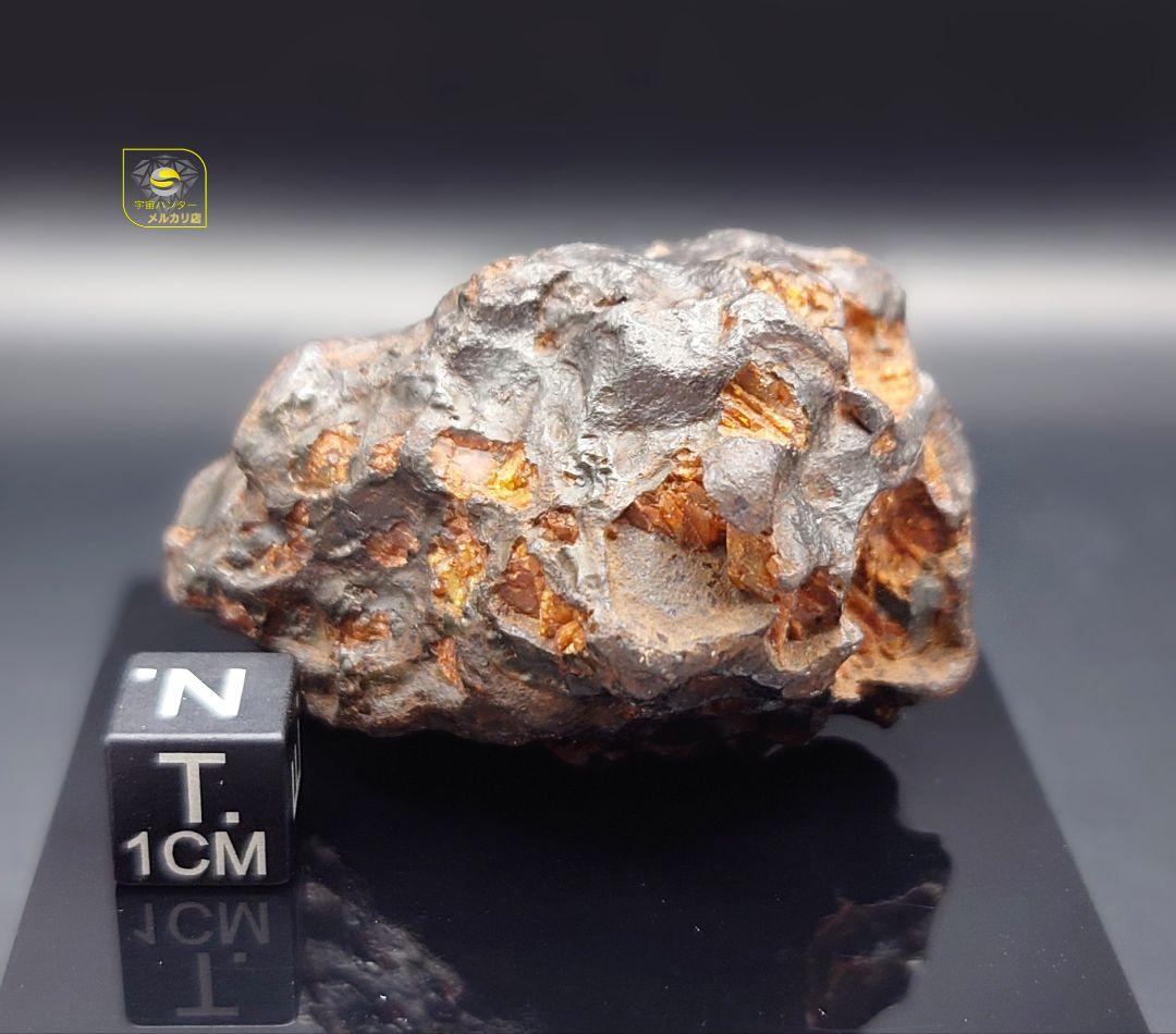 隕石 イミラック パラサイト 126.4g Imilac ⭐⭐⭐