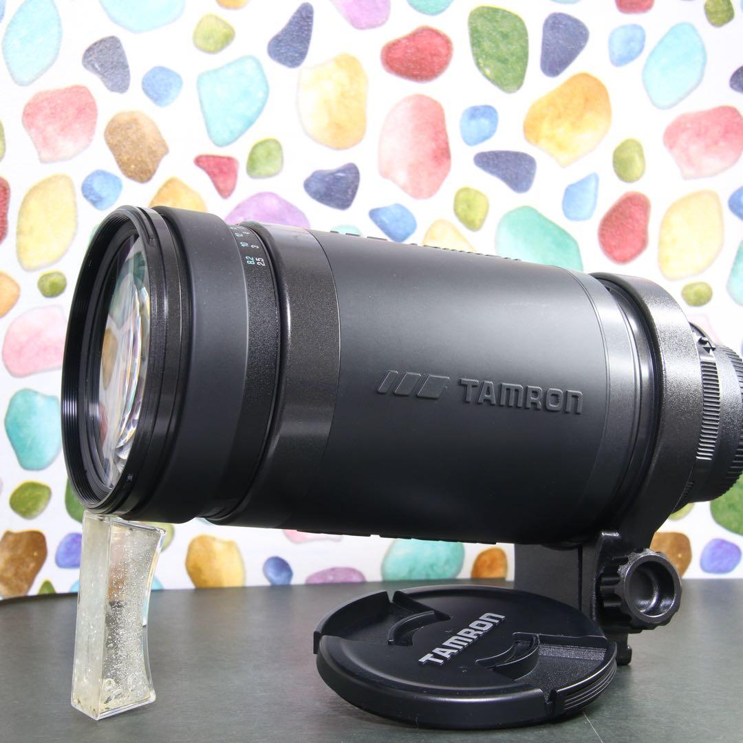 ♥︎◇美品 ◇TAMRON 200-400ｍｍ NIKON Fマウント TAMRON AF 200-400mm F5.6ニコン用 Amazon.co.jp: TAMRON AF 200-400mm