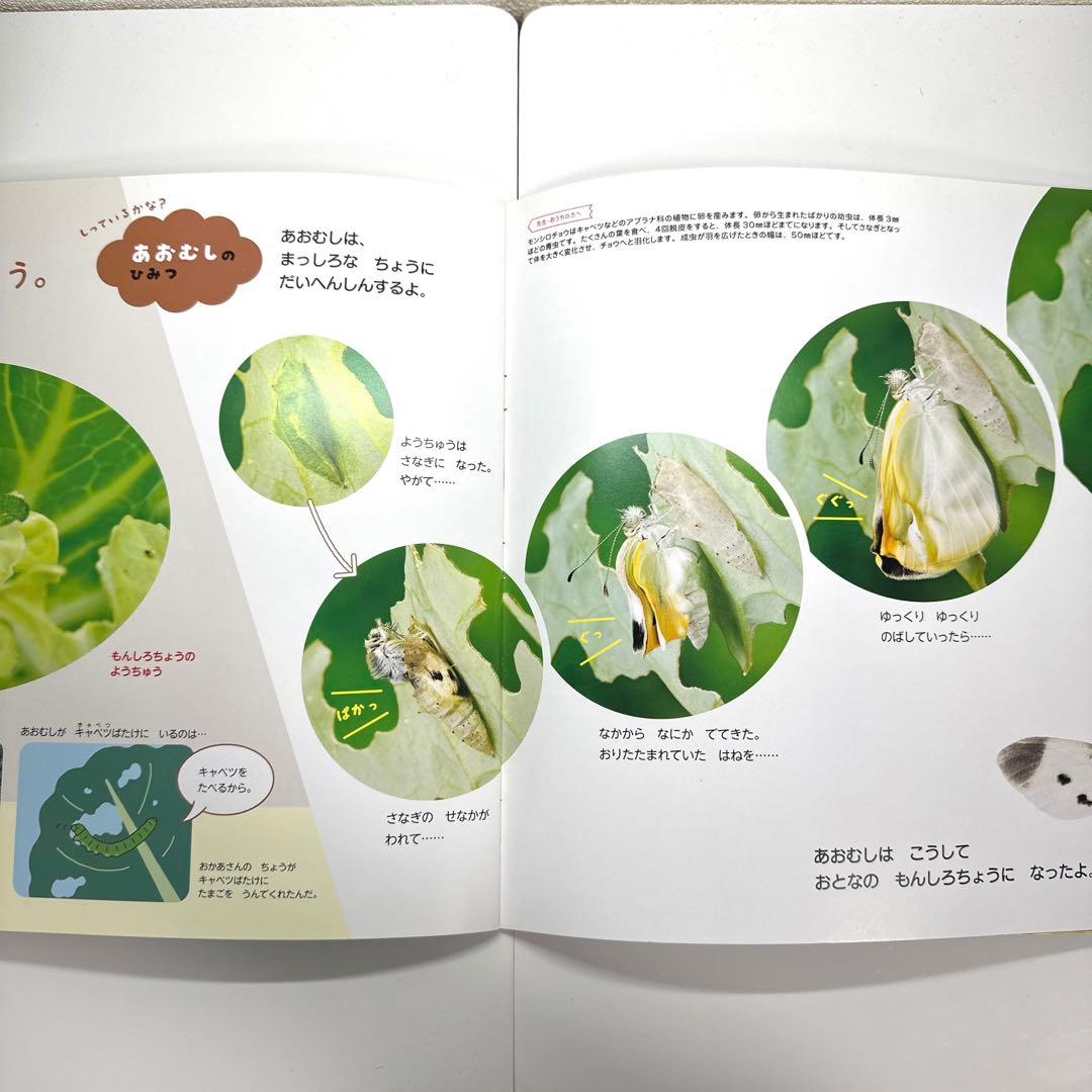 2点購入150円引】おはなしワンダー いいな「じぶん」！ くすのきしげ