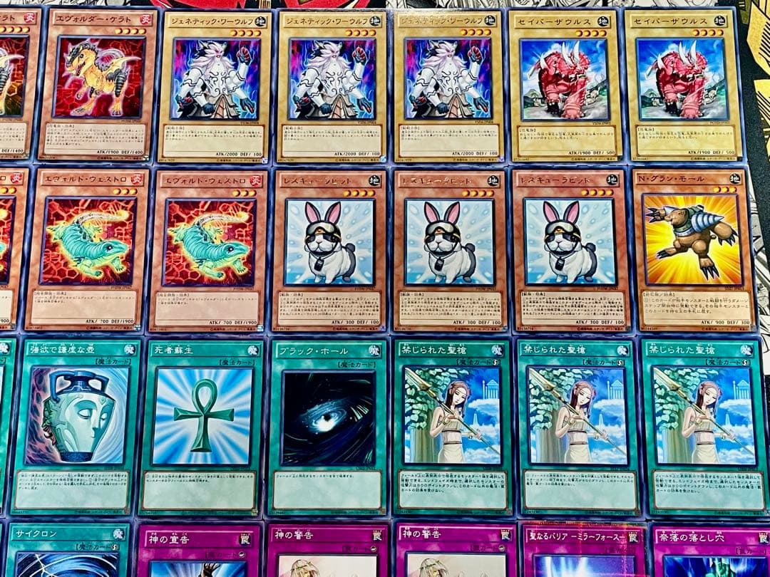 遊戯王 エヴォル 兎ラギア デッキ 1103環境 本格構築 デッキパーツ