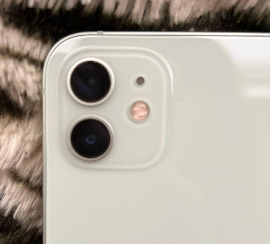 Apple iPhone 12本体 128GB ミントグリーン