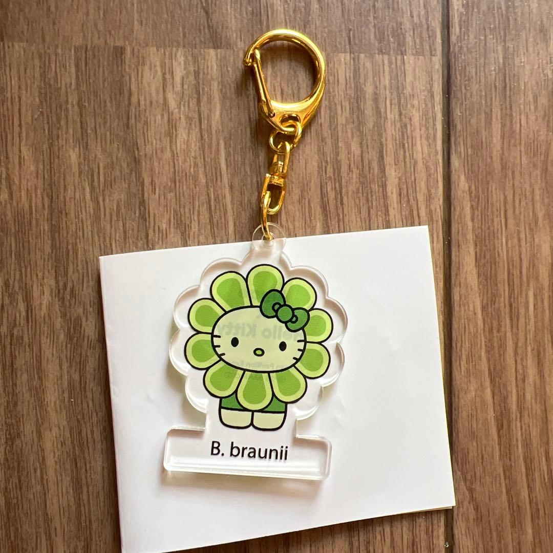 3点セット ハローキティ 藻類 ぬいぐる アクリルスタンドスタンプ