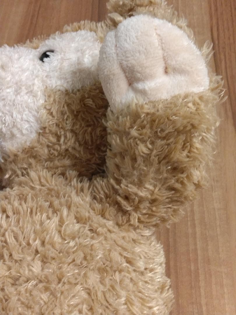 美品、超レア】初期ダッフィーぬいぐるみ2004～2005購入 ビーズ入り白