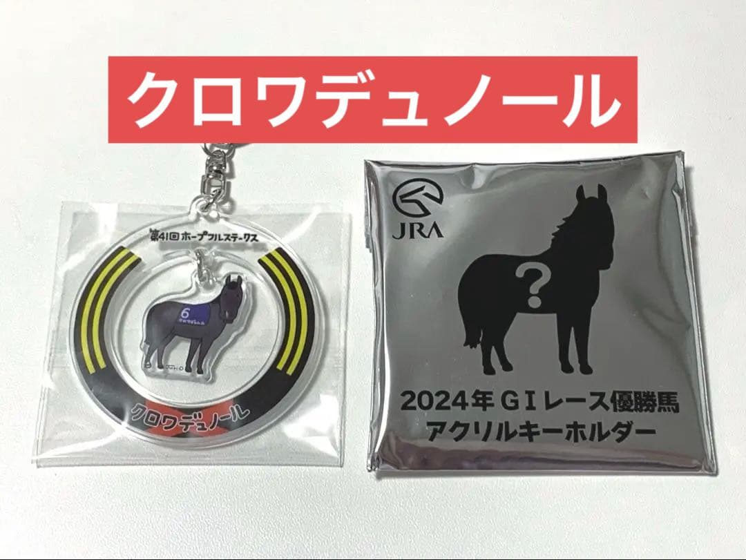 クロワデュノール JRAウェルカムチャンス welcomeチャンス