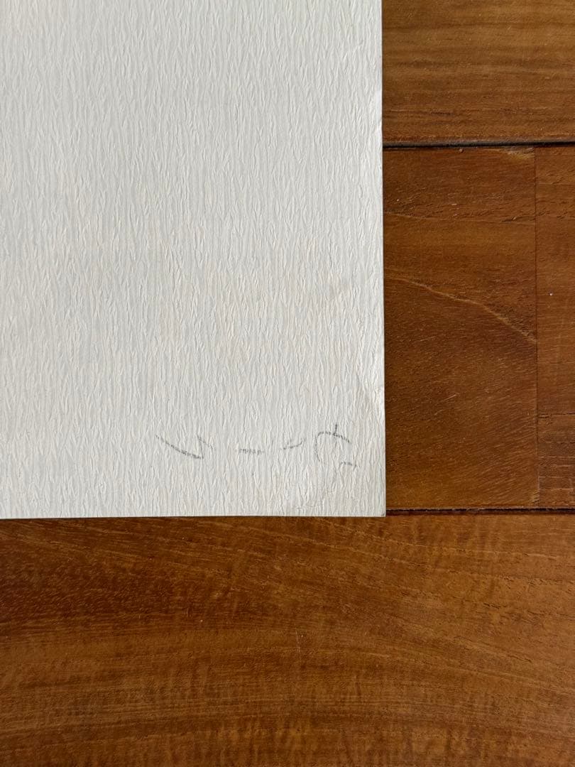 非売品】 Björk ビョーク DEBUT デビュー B3ポスター プロモ - メルカリ