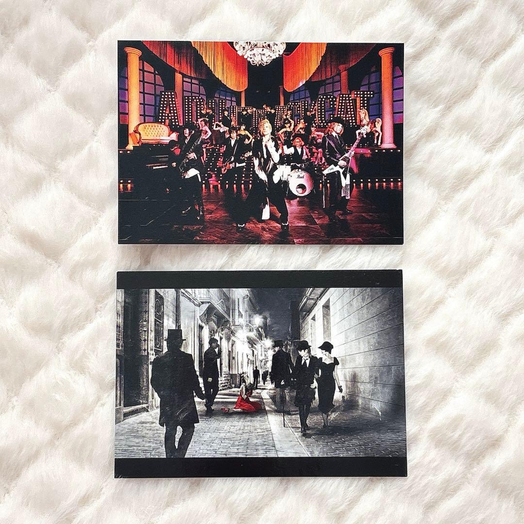 Acid Black Cherry トレカ2枚セット - メルカリ