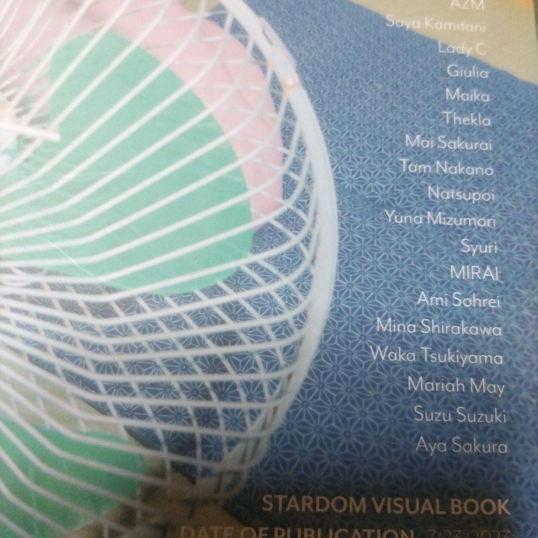 スターダ写真集、ビキニング、BiKiniing11、12、ビギニング