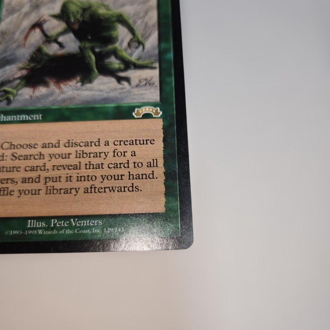 【激レア】適者生存　NM相当