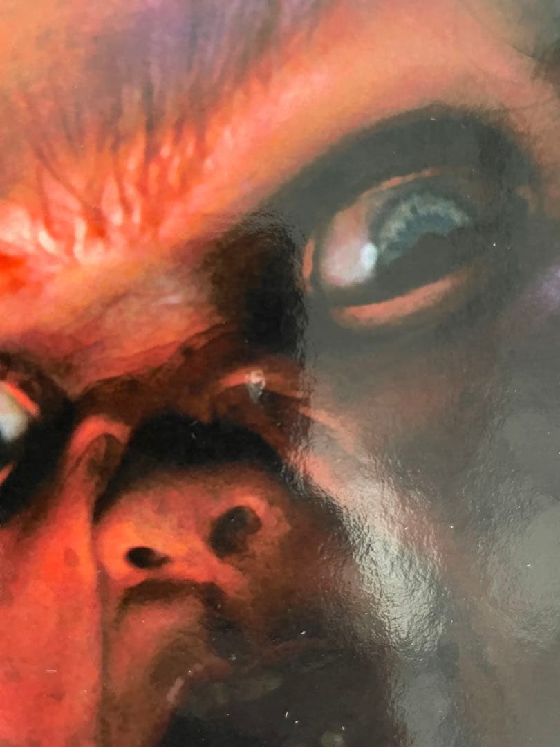 海外・公式ブック・直筆サイン入り】 チャッキー ホラー映画