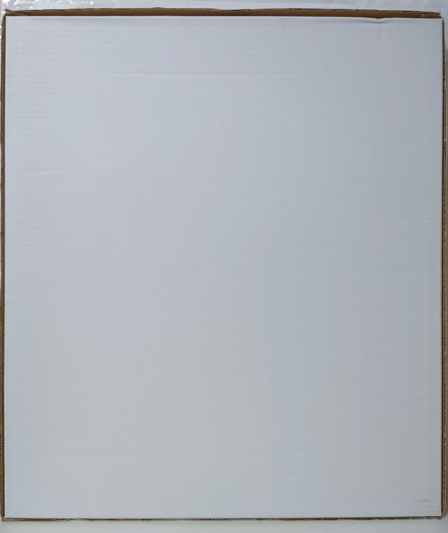 推しの子 複製原画 赤坂アカ 横槍メンゴ サイン入り 赤坂アカの世界展