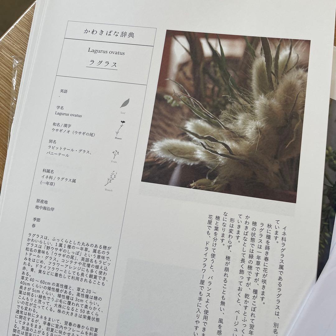 かわきばな通信レッスン全資料＋出版記念DVD