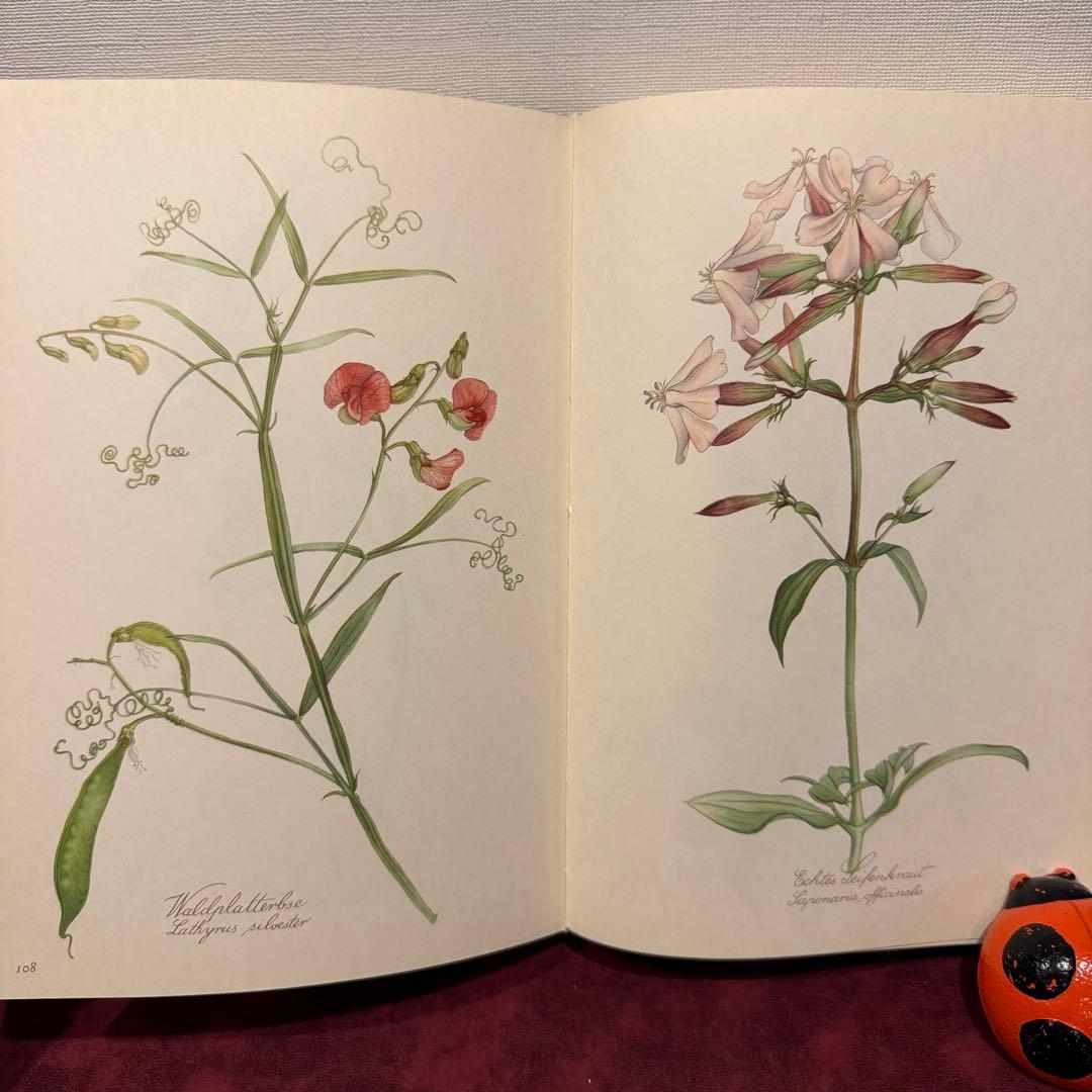 112⑤1963年ドイツElsa Flesko植物図鑑 ジャンクジャーナル