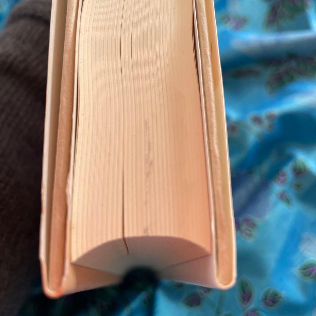 唯さま専用]ポール・リクール/記憶・歴史・忘却(上・下)セット