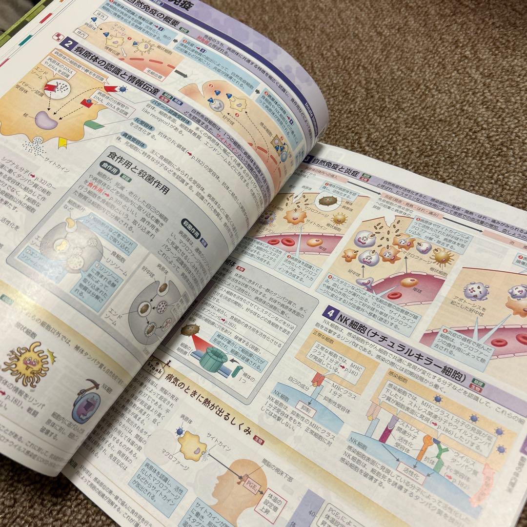 最新図説生物 2023年版 高校資料集 - メルカリ