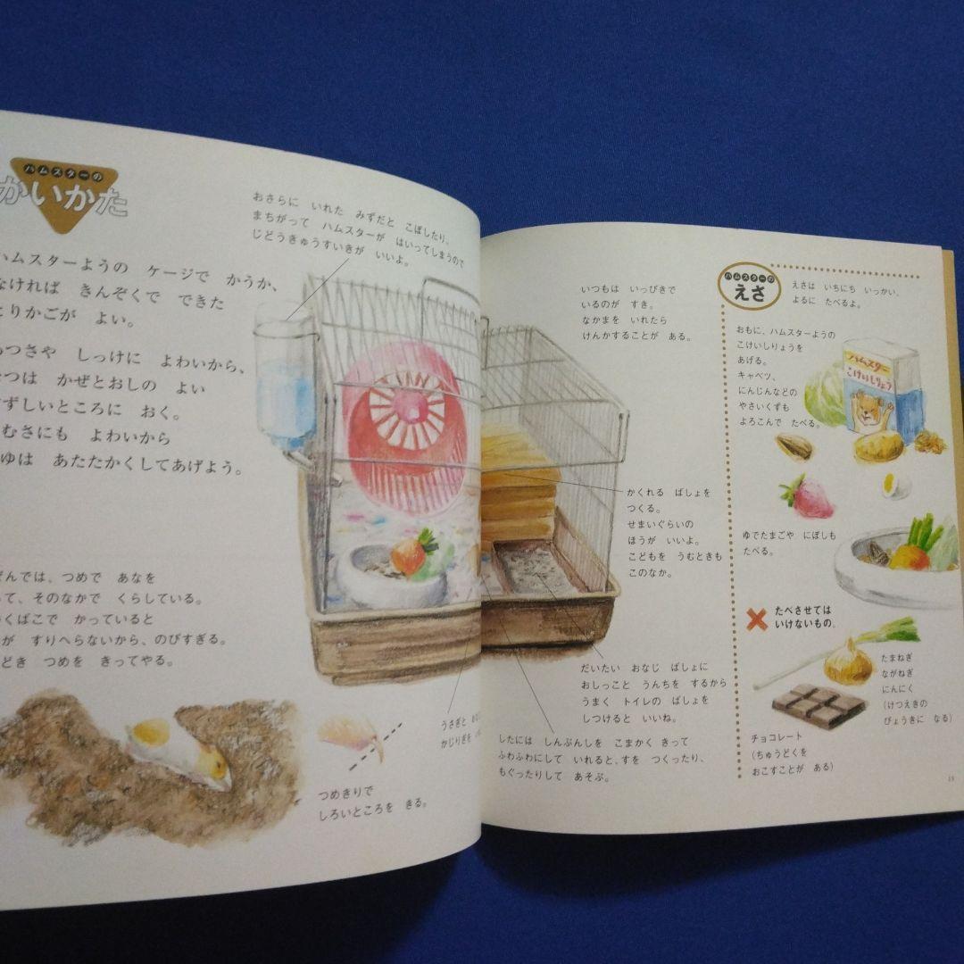 かがくのとも ビッグサイエンス キンダーブックしぜん ハムスターの