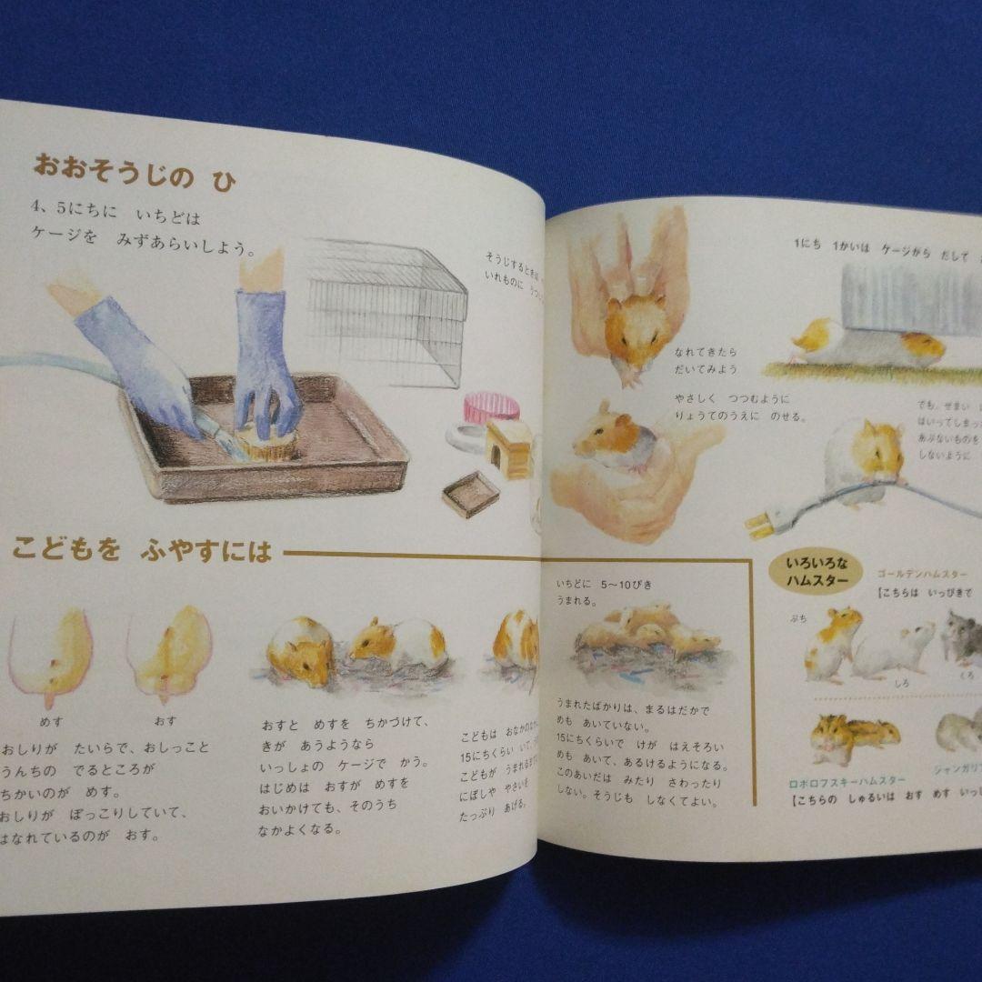 かがくのとも ビッグサイエンス キンダーブックしぜん ハムスターの