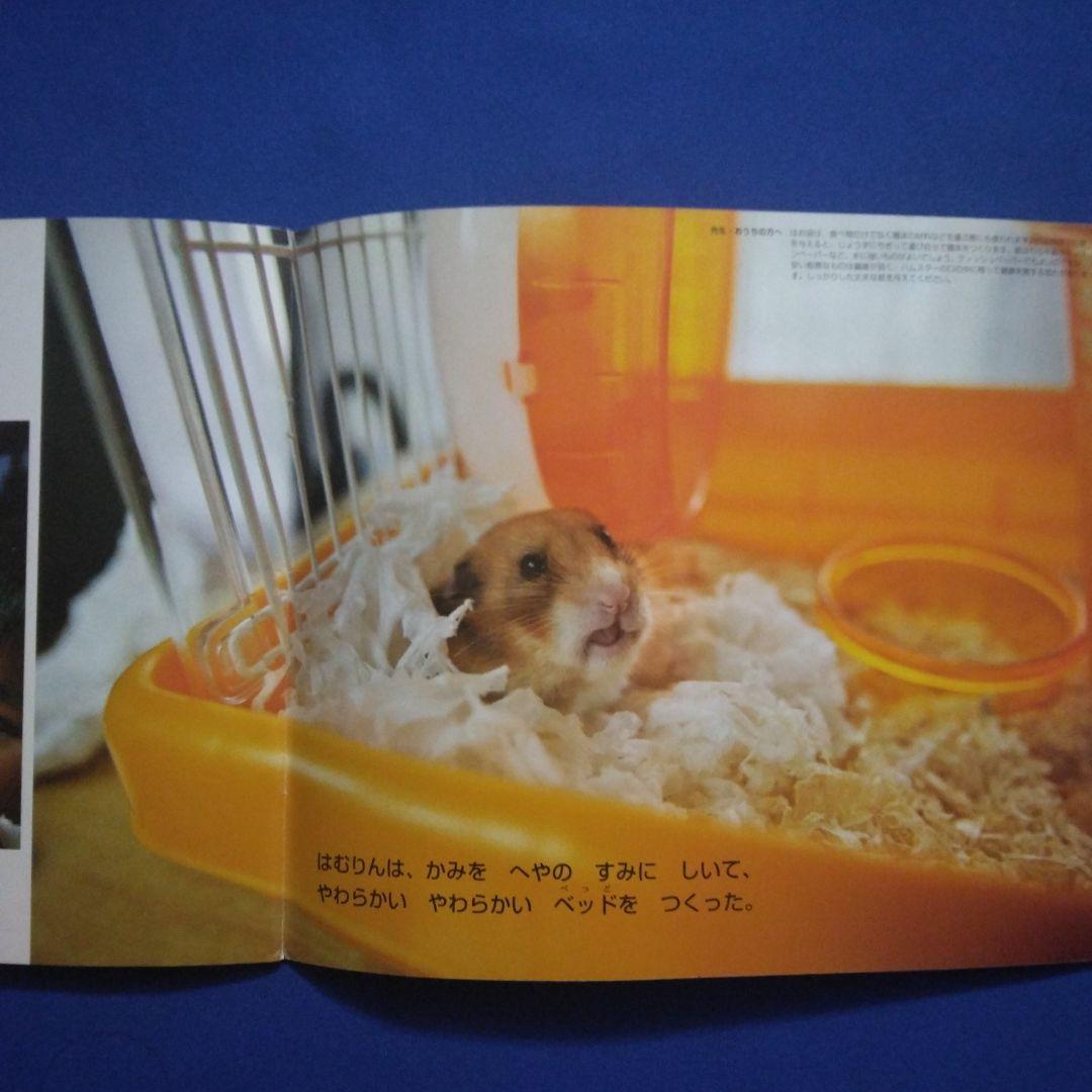 かがくのとも ビッグサイエンス キンダーブックしぜん ハムスターの