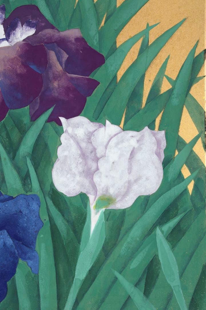 蒼波 日本画 作品「菖蒲」直筆サイン 落款 在銘 共シール 6号 額装