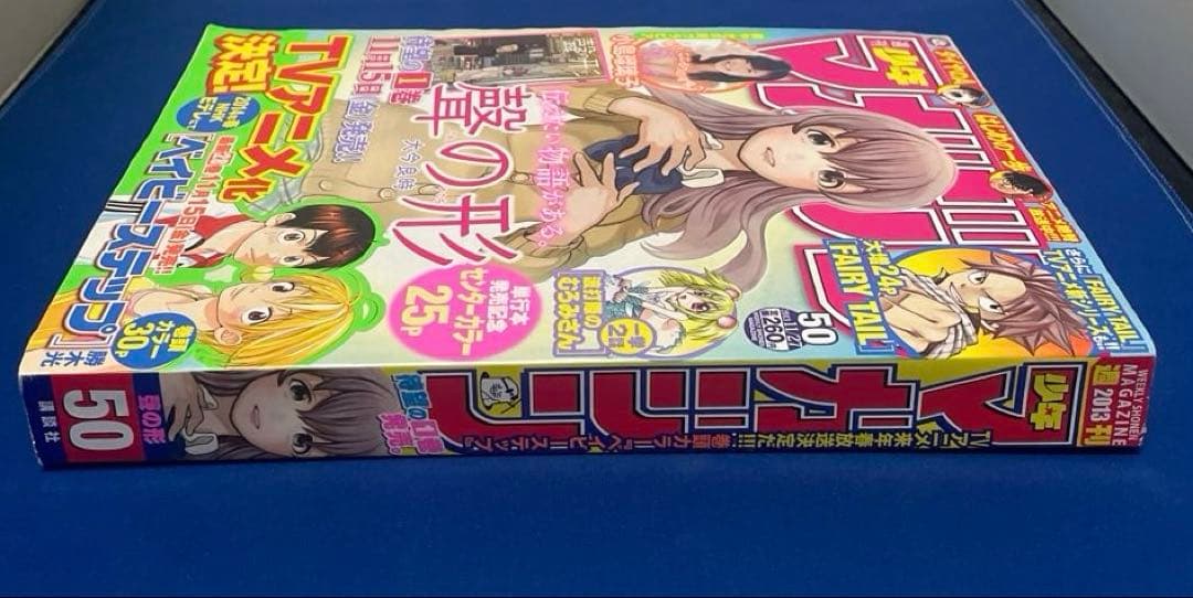 週間少年マガジン2013年50号 小島瑠璃子