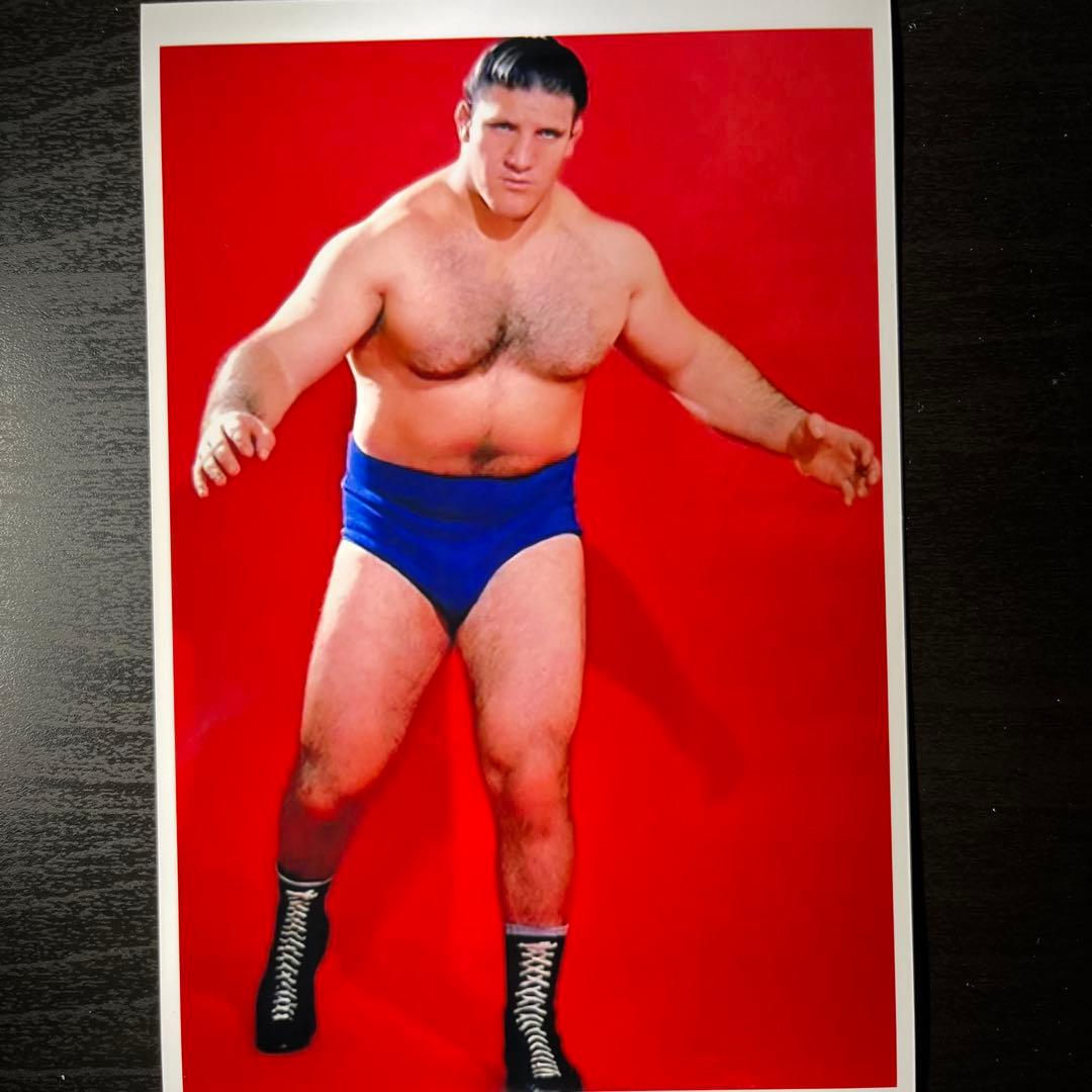 ブルーノサンマルチノ カラーブロマイド - メルカリ