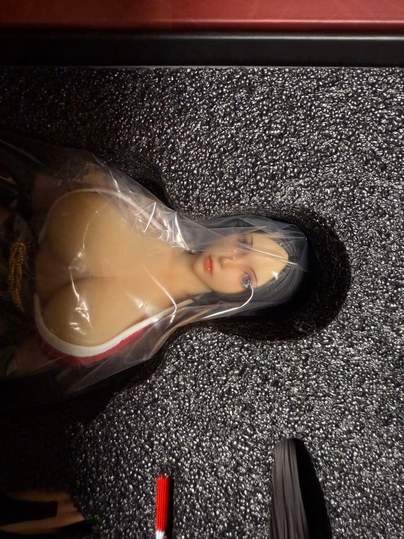 Ninja Cat 1/6スケールフィギュア - メルカリ