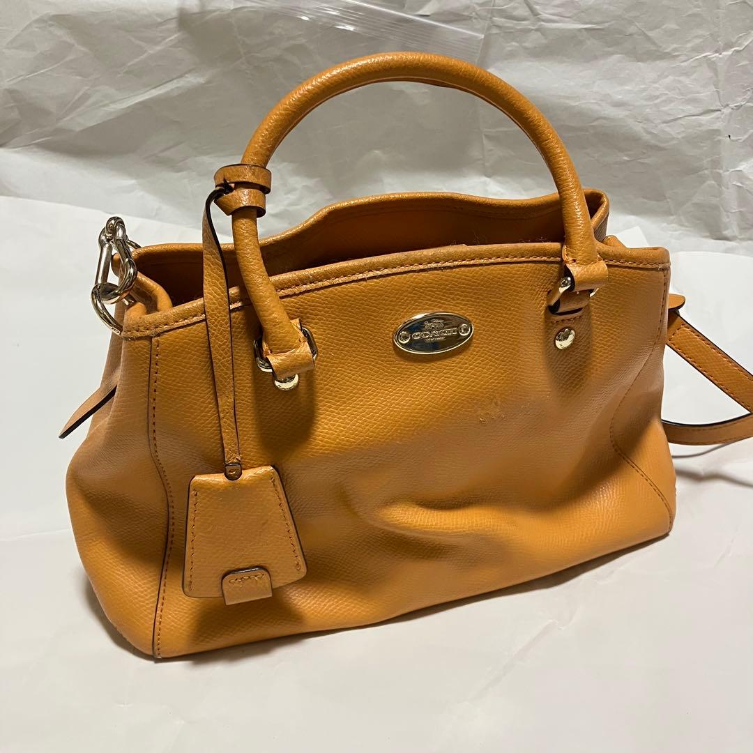 コロンビア産 ルリオニカミキリ 61mm