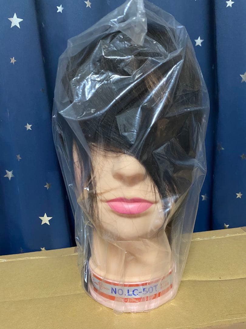 美容学校用 ウィッグレジーナ LC-50T 4個 レジーナ LC-50T 国家試験レイヤーカット練習用 | B-ZONE for profess
