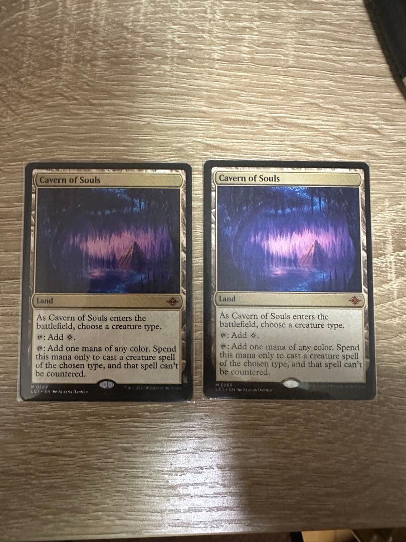 mtg 魂の洞窟 2枚セット フルアート)魂の洞窟/Cavern of Souls《日本語》【2X2】