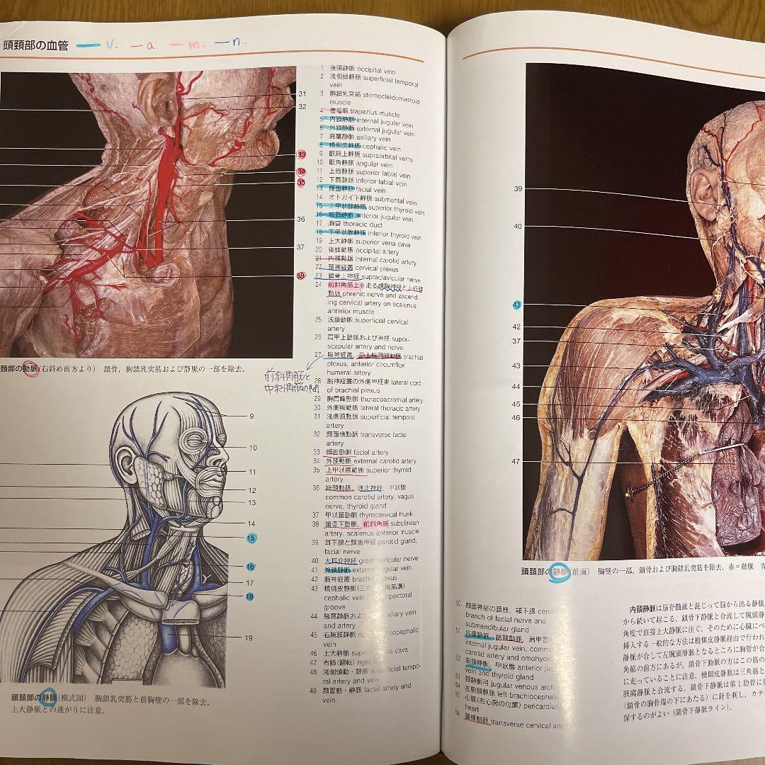 解剖学カラーアトラス - メルカリ