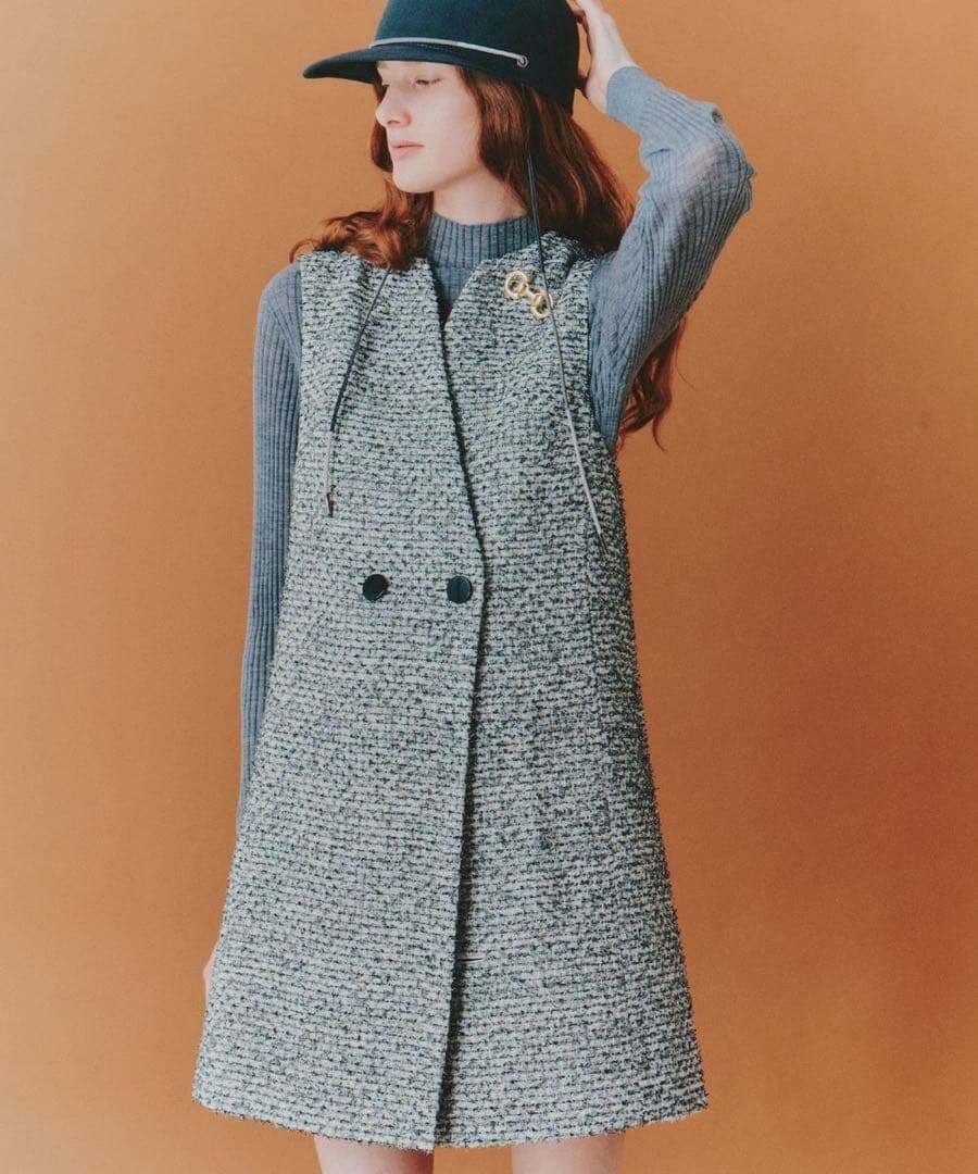 新品未使用】ANAYI ホースビットビジューブローチ 完売 アナイ - メルカリ