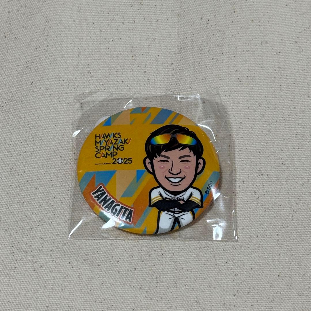 ソフトバンクホークス 若鷹ガチャ 柳田悠岐 缶バッジ - メルカリ