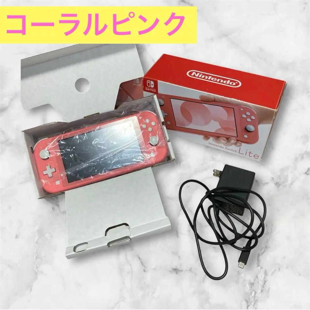 moon UFO エンドネシアチュウリップセット