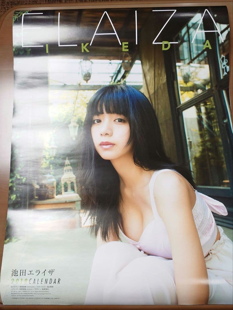 池田エライザ2018年カレンダー - メルカリ
