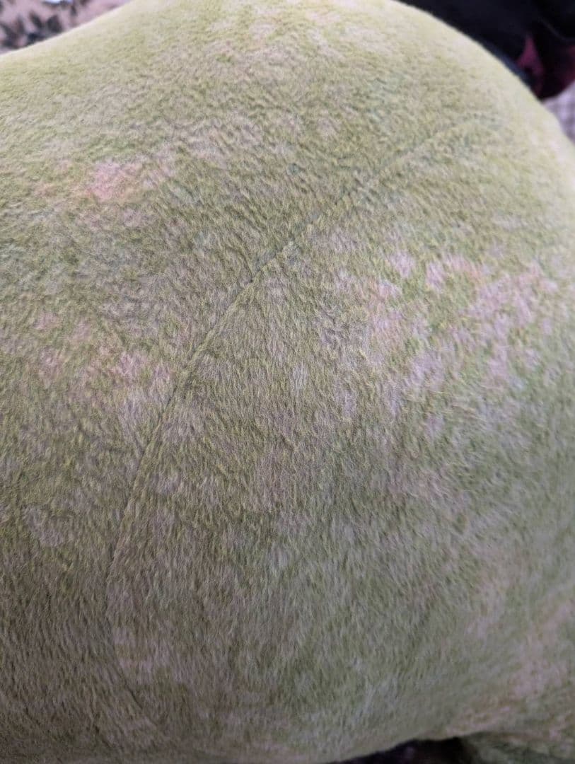 宮城送料無料】子供が乗れる動くトリケラトプス 恐竜玩具 ￥108,000