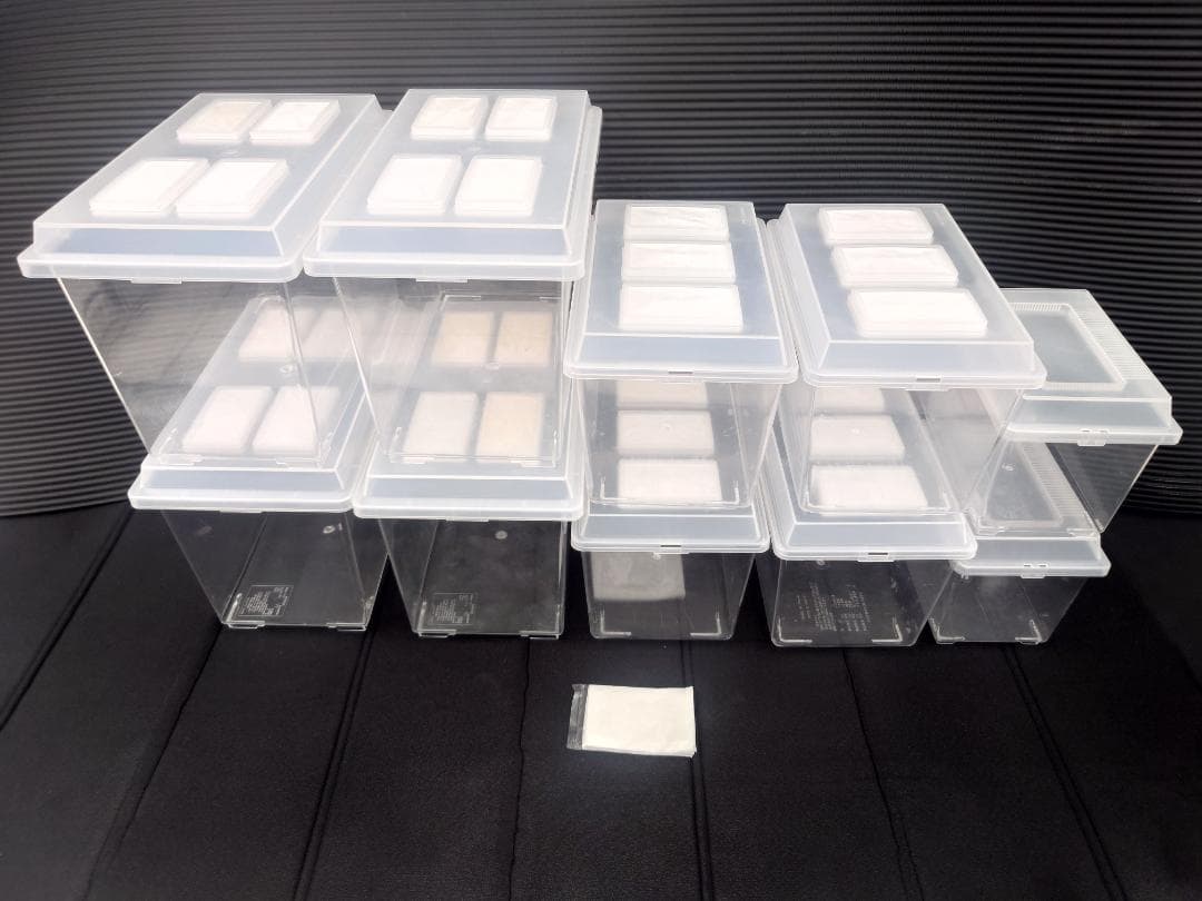 【大輔】飼育ケース　コバエシャッター大４個　中４個　他２個　交換フィルター シーラケース コバエシャッター 中 （298×195×210mm） プラ