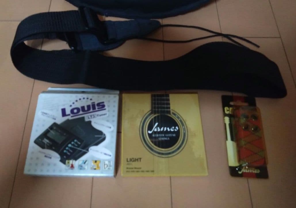 アコースティックミニギター LumberL100MNA ケース他付属品5点