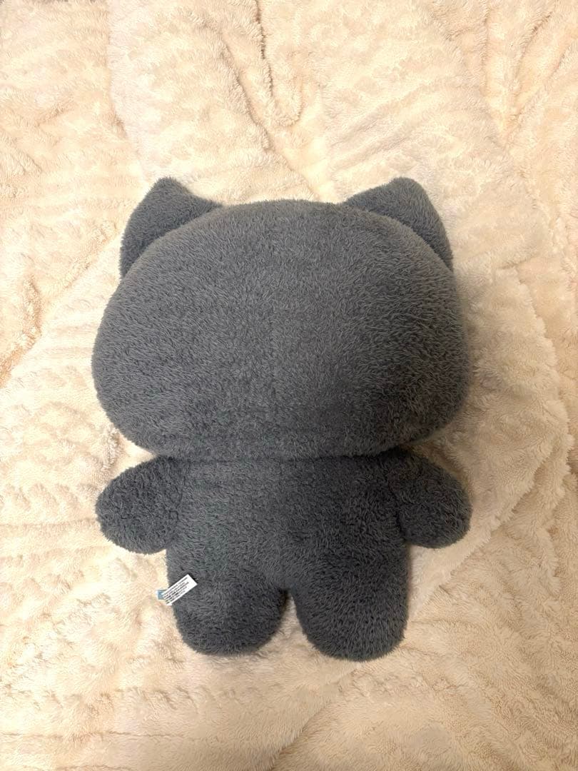 zeroni woongnini ウンニニ キムジウン フラットぬいぐるみ - メルカリ