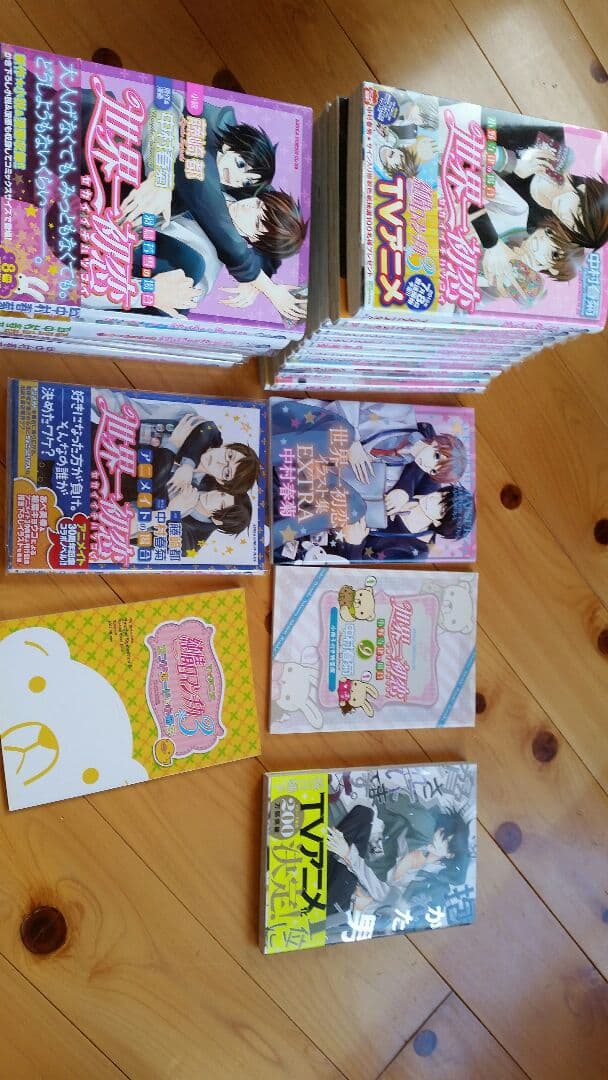 世界一初恋 世界一初恋 ～小野寺律の場合13～小冊子付き特装版」中村春菊