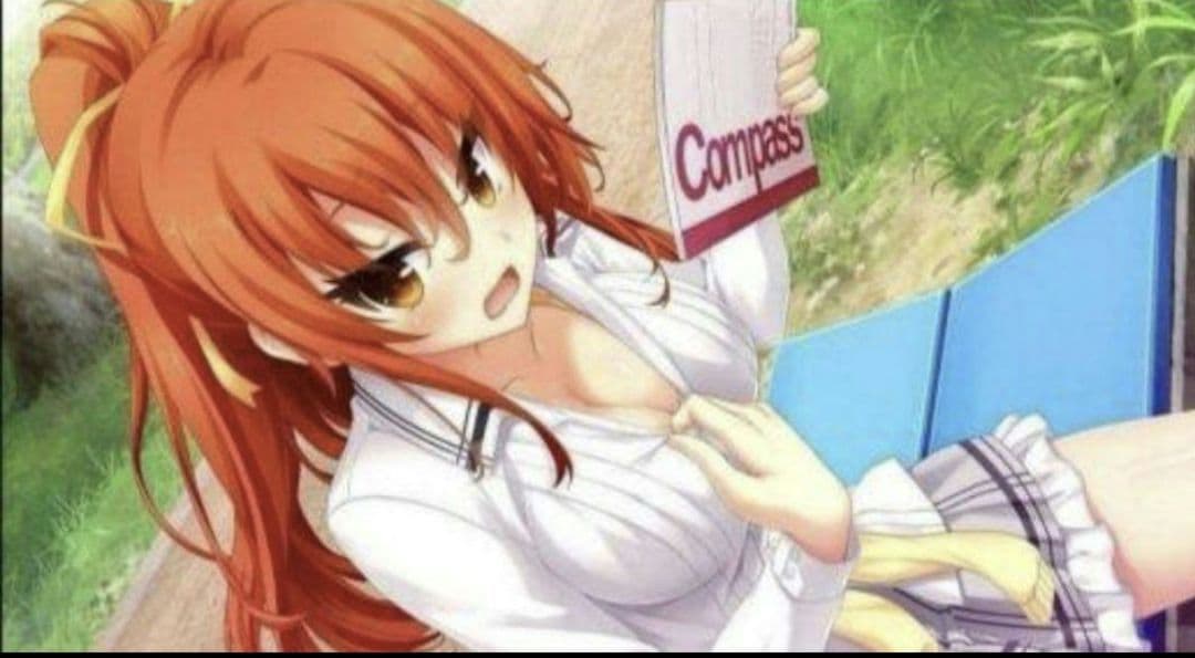 美品 ノラと皇女と野良猫ハートHD ＆美品 2 B2タペストリー同梱版セット