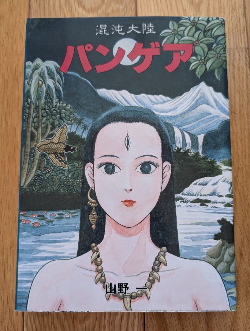 値下げしました☆ 山野一/混沌大陸パンゲア - メルカリ