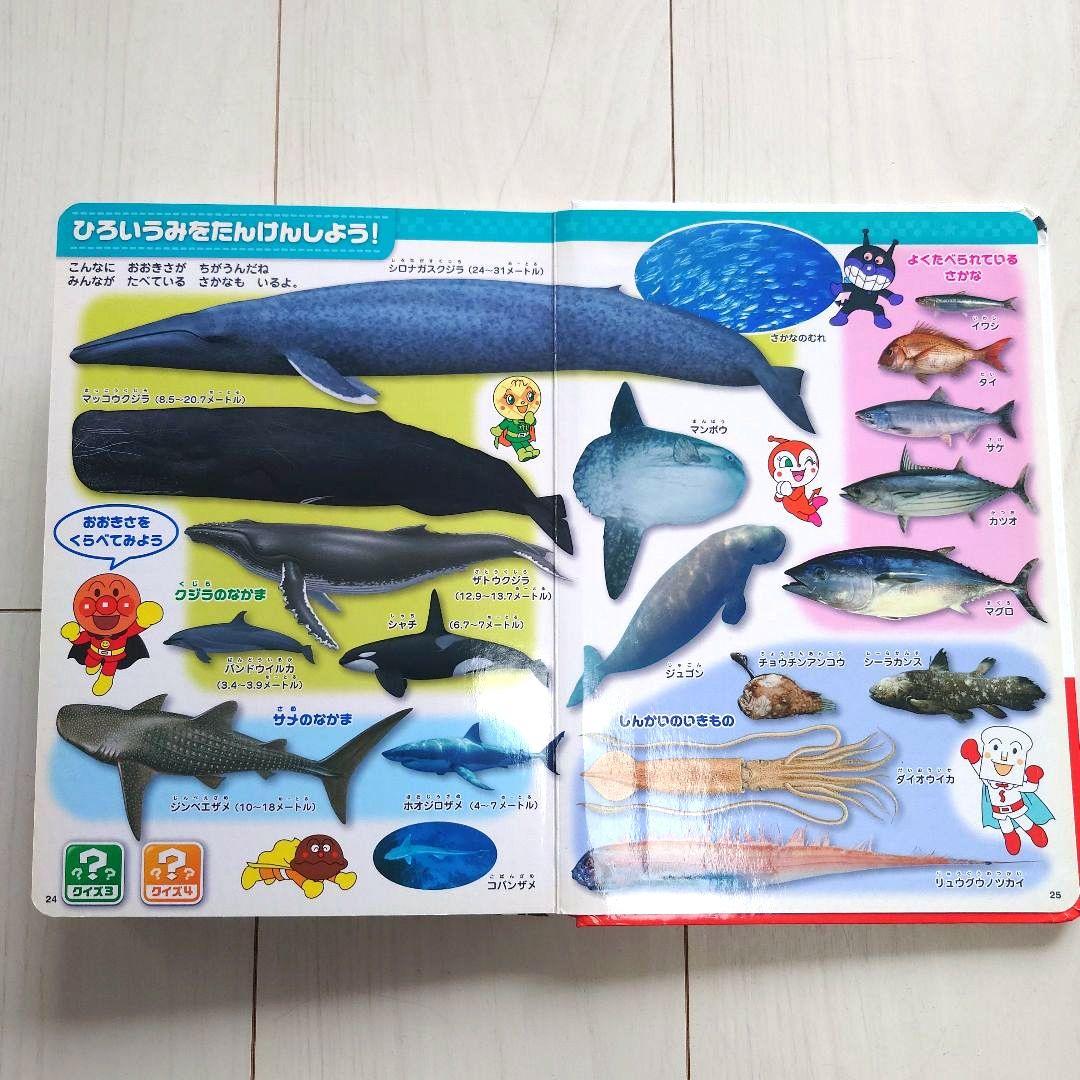 アンパンマン おもちゃセット テレビゲーム レジスター ずかん まとめ