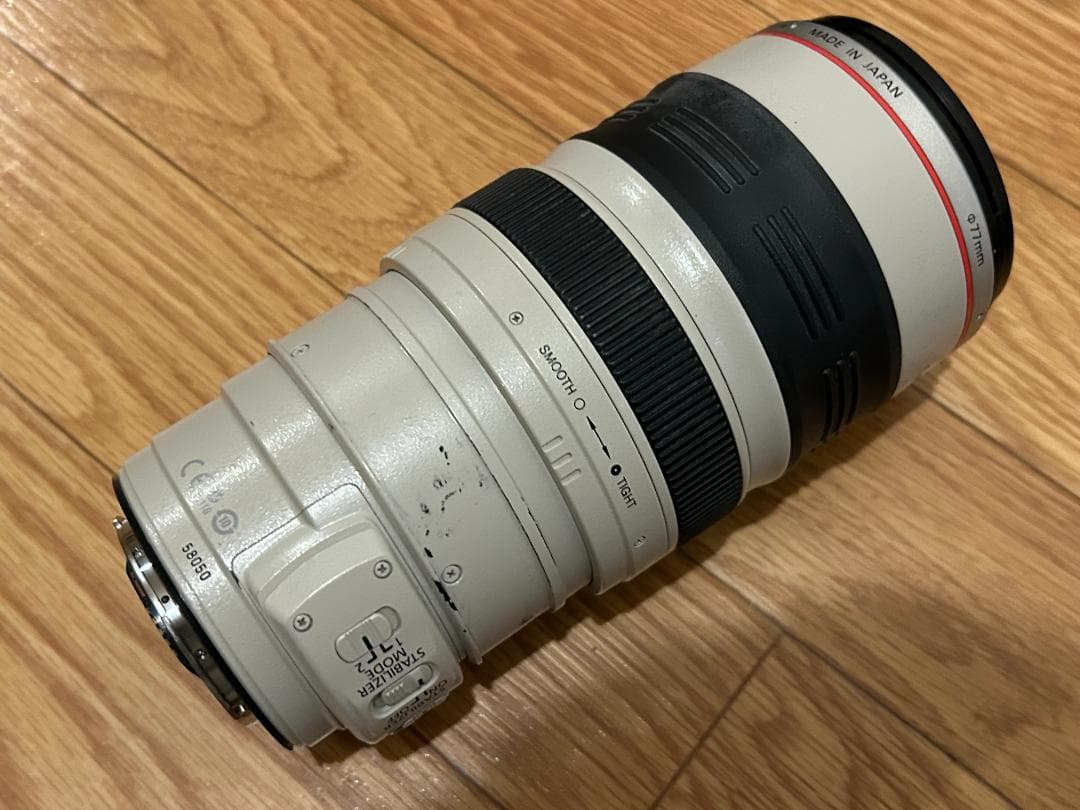 ジャンク館】キャノン EF 28-300mm F3.5-5.6 L IS USM