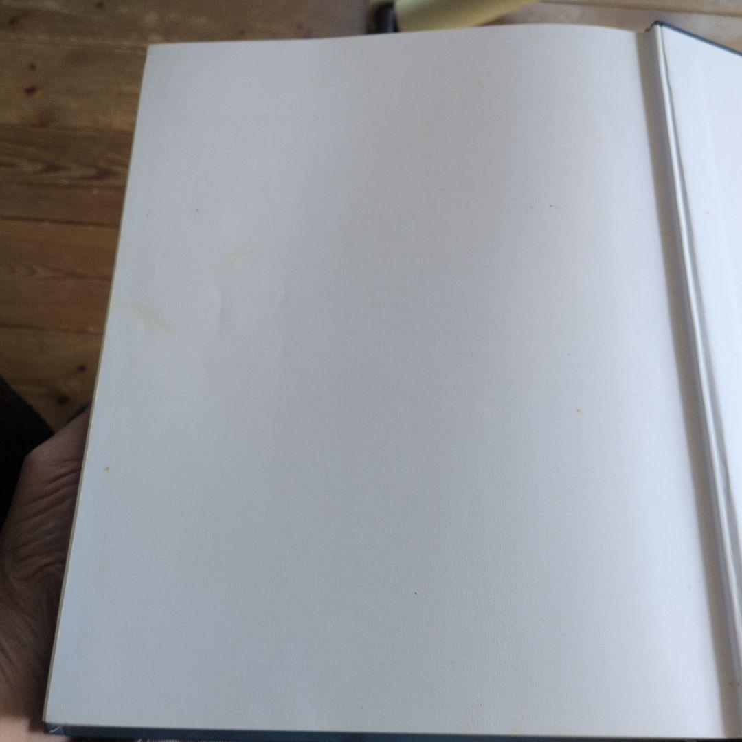 ＊ホメオパシー大百科事典＊新ビジュアル版＊