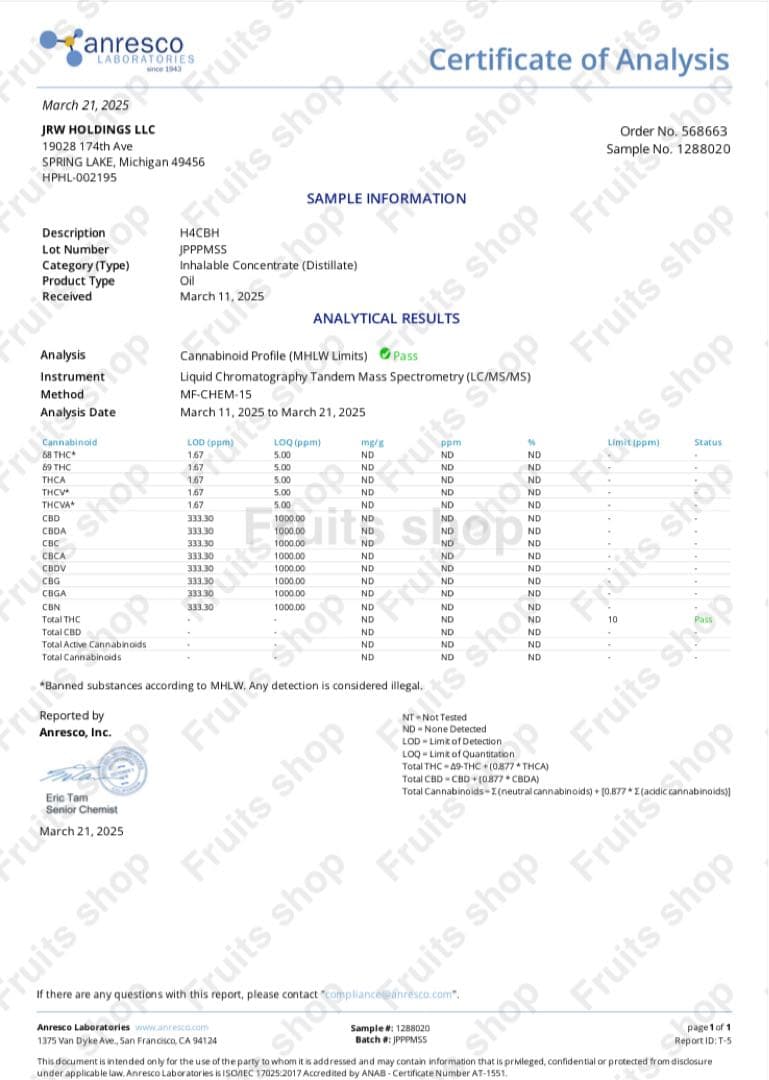 H4CBH リキッド 0.5ml×2【玄人向け】　CBN/CBG/CBD