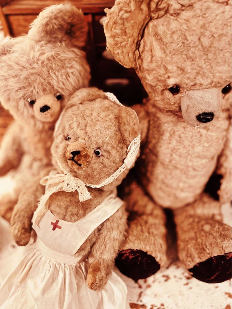 く*ん様 フランス　ヴィンテージベア　モコモコ♡⸝⸝⸝⸝ アンティークベア フランスブルーのお耳のブラウンベア1940年代頃53cm gt-959の通販