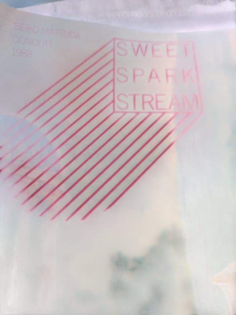 値下げレア希少品‼️松田聖子コンサート 1983 パンフレット - メルカリ